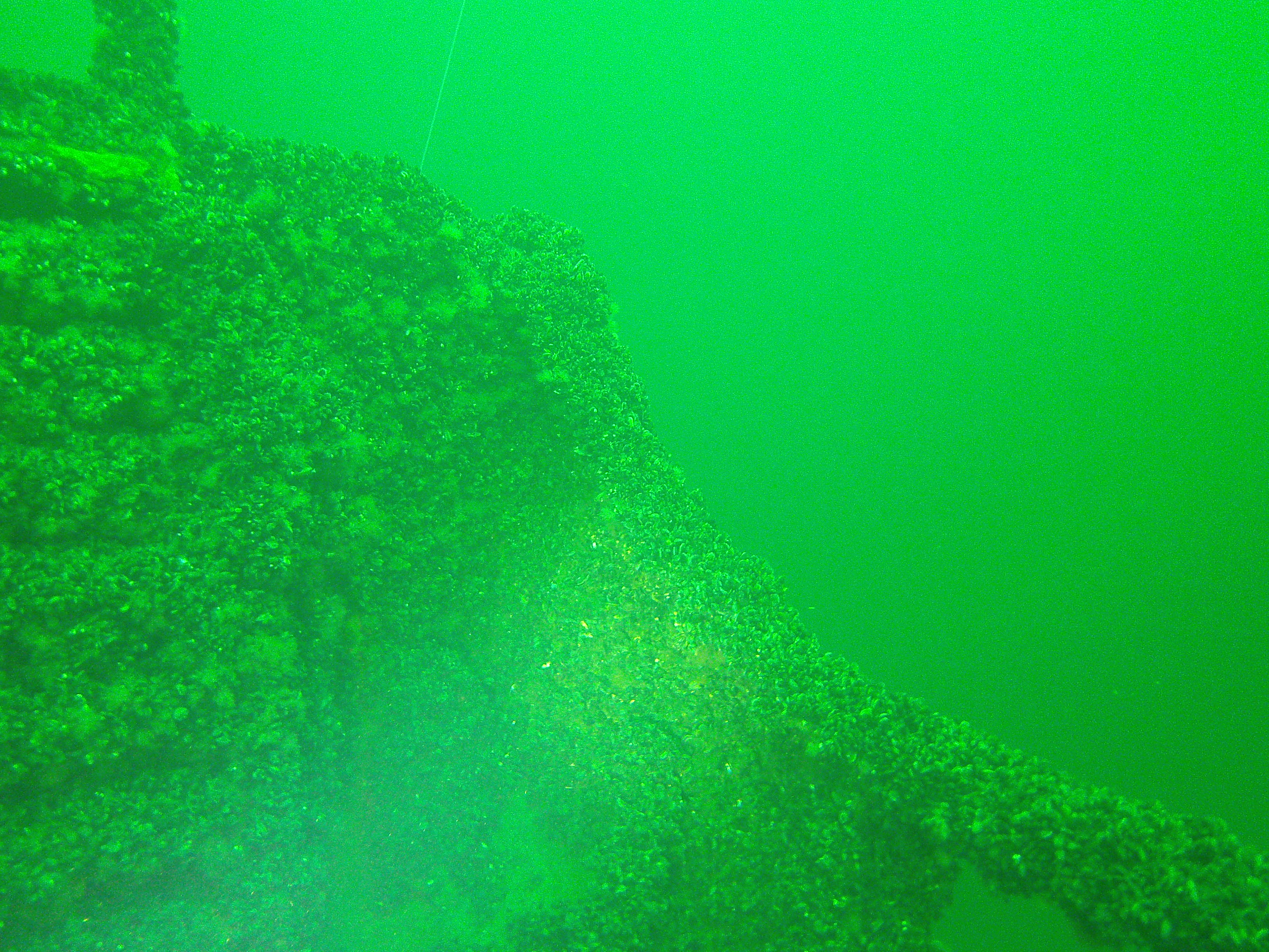 Minos (Hellfrid Bissmark)