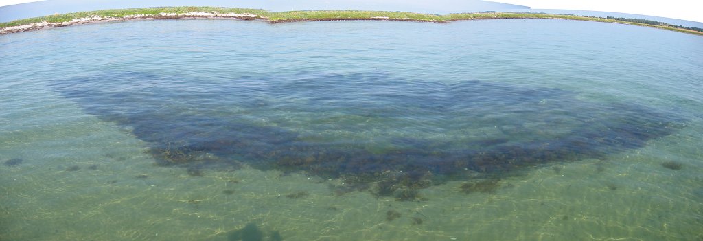 Vrag ved Storeholm (Ristinge/Langeland)