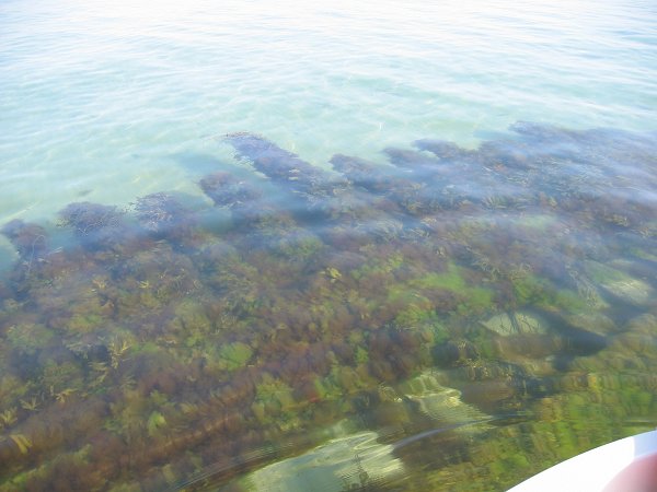 Vrag ved Storeholm (Ristinge/Langeland)