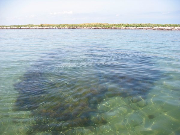 Vrag ved Storeholm (Ristinge/Langeland)