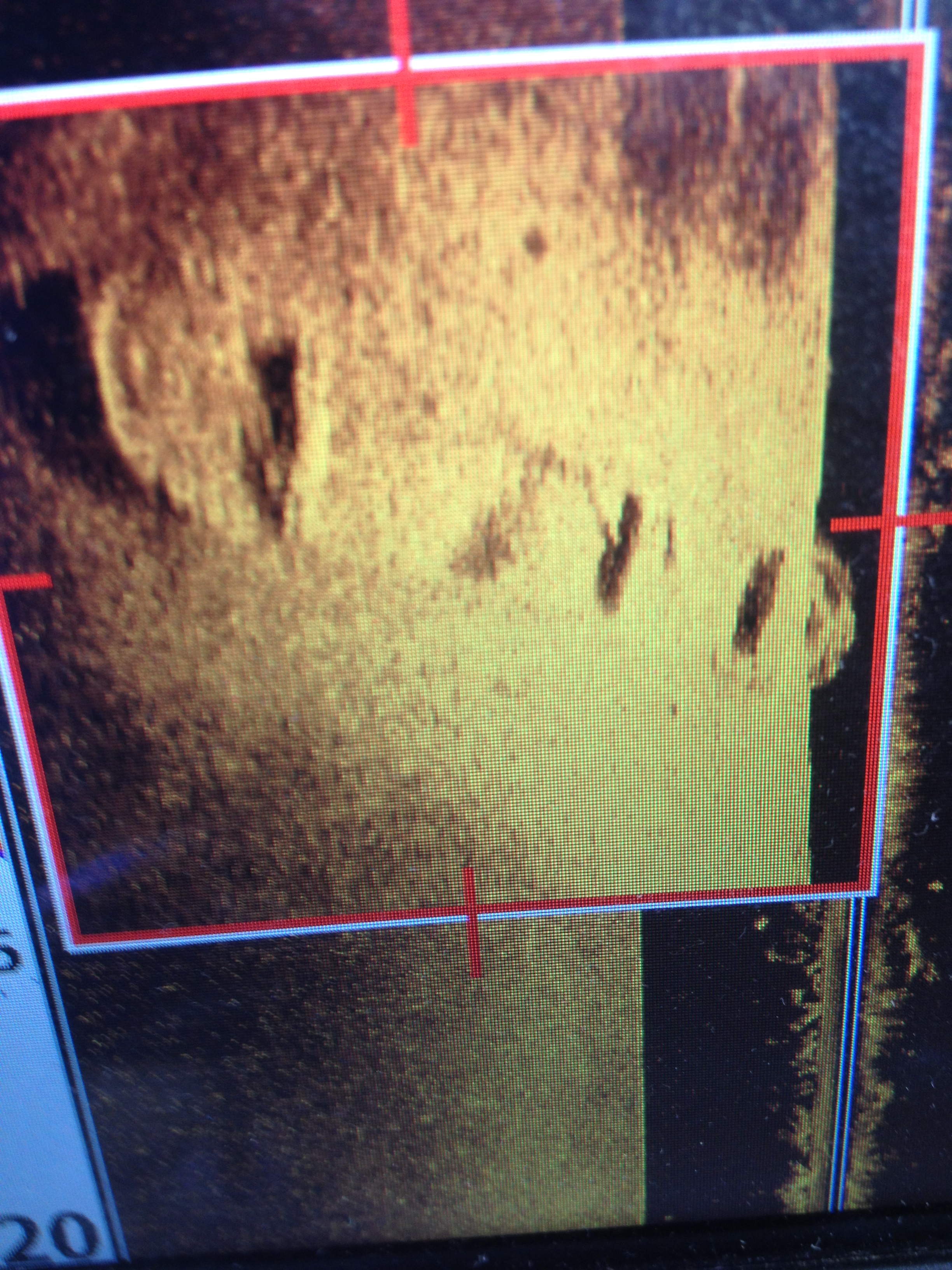 Gertrud, Treldenæsvraget