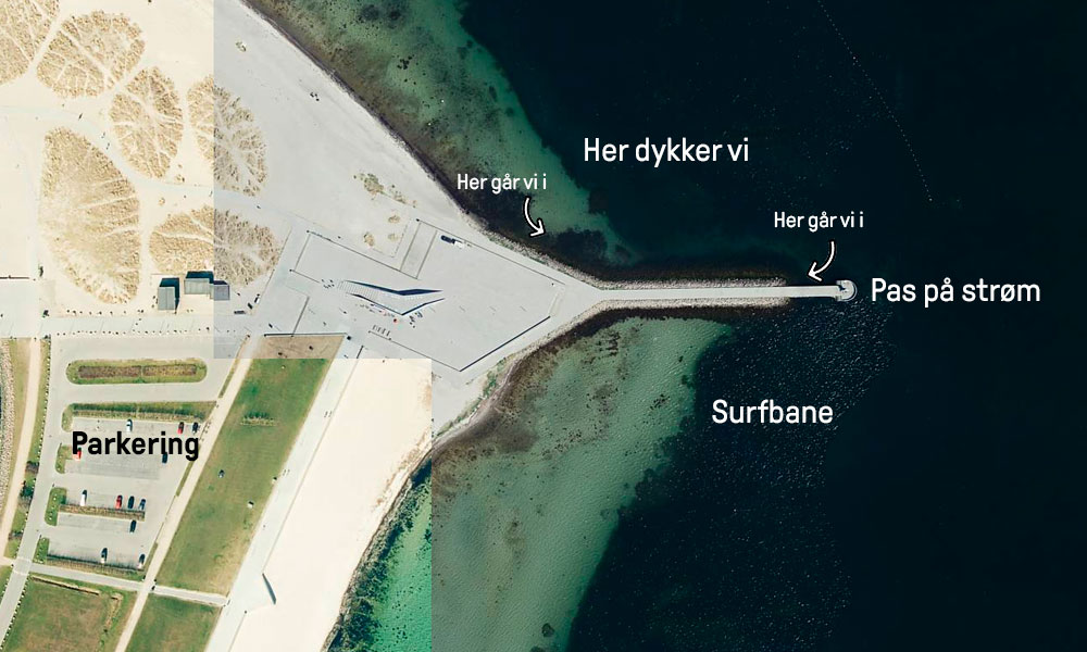 Amager Strandpark og Havheksen