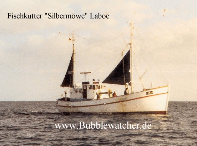 FK Silbermöwe