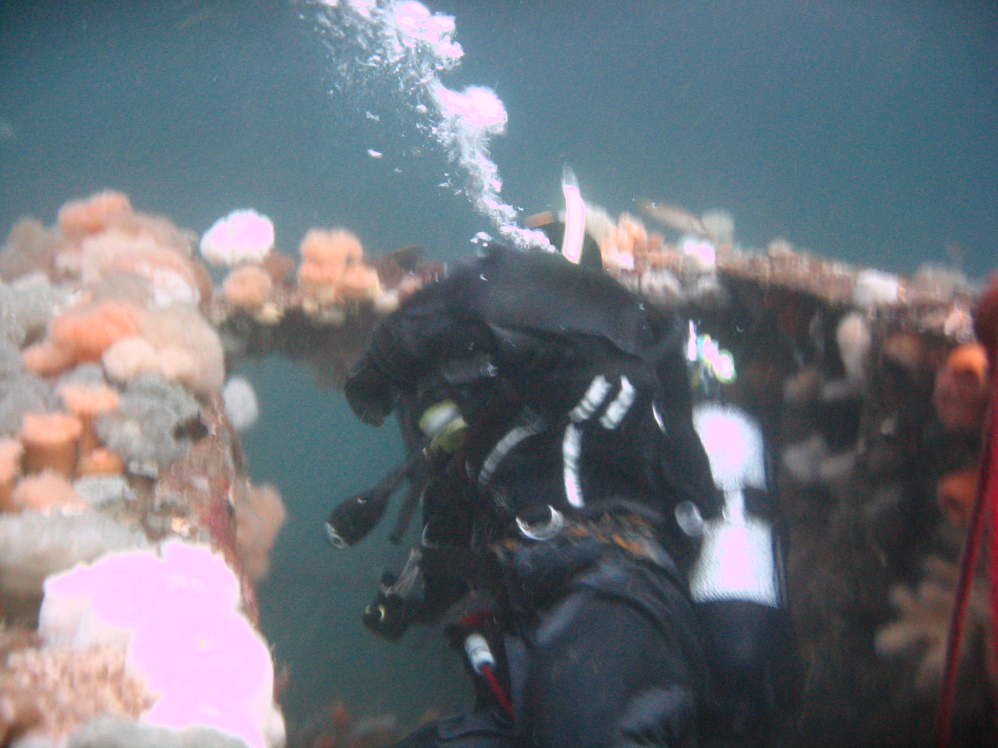 Malene Slotø af Randers