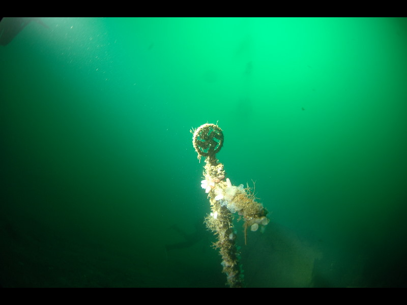 Torpedo båden Kjell