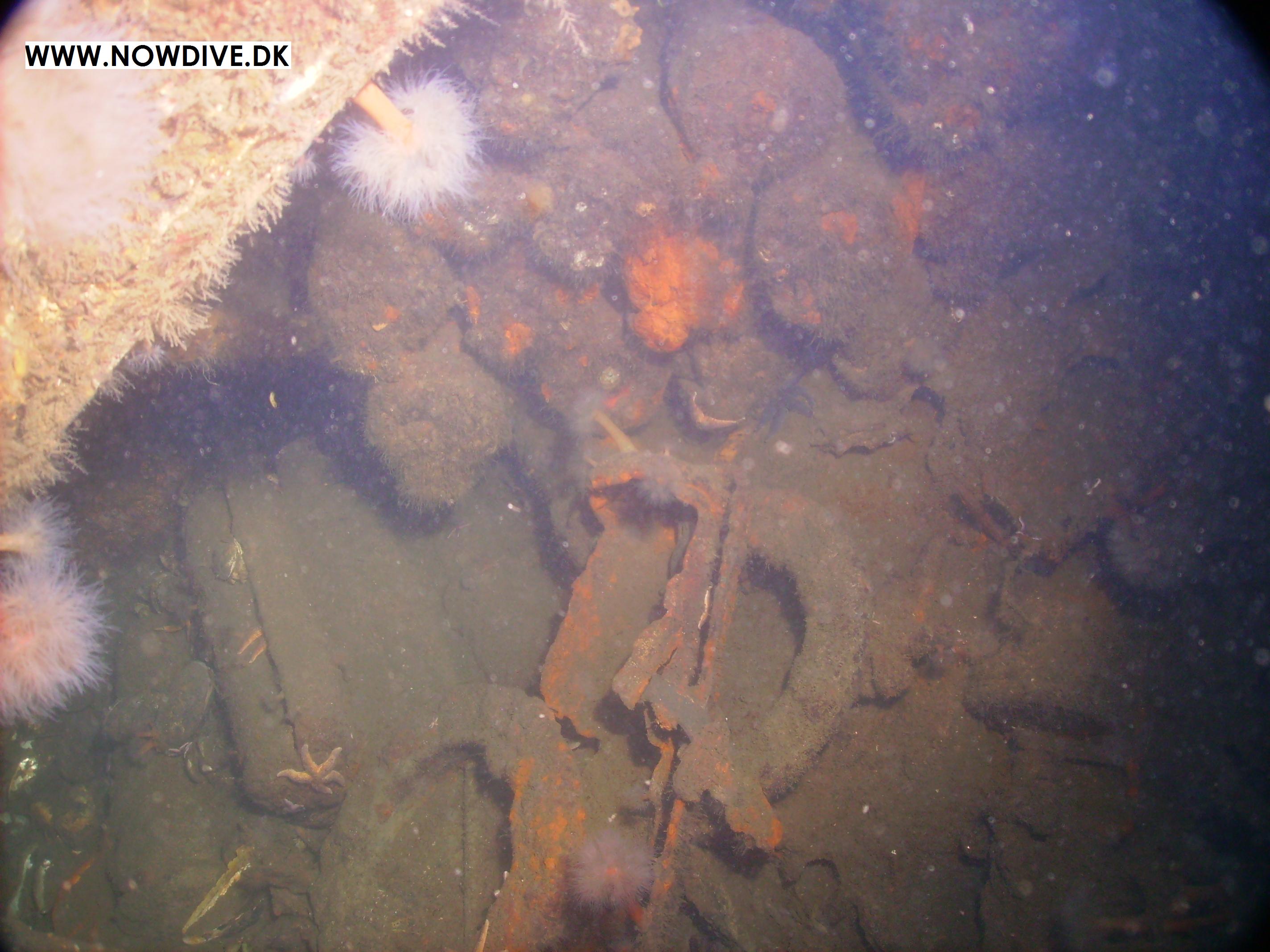 De tre (fire) Motortorpedobåde båd (4)