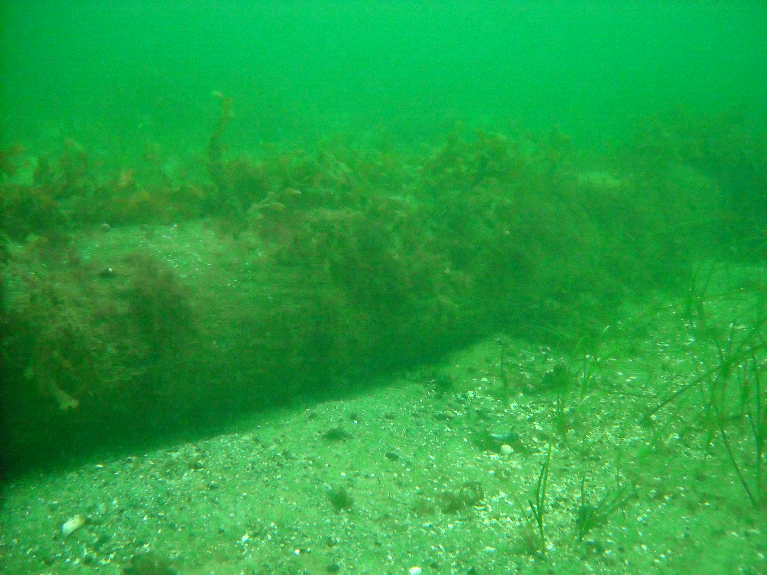 Knud Rasmusen statuen