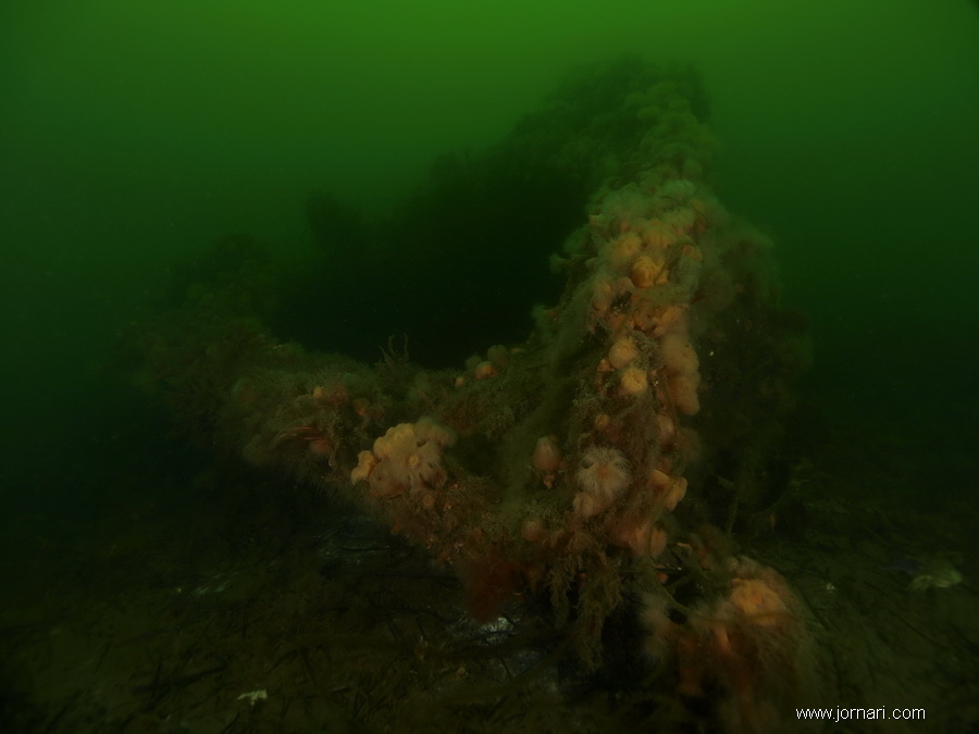 De tre (fire) Motortorpedobåde båd (4)