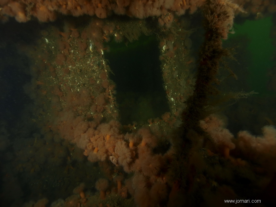 De tre Motortorpedobåde båd (1)