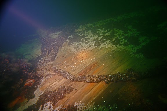 Minos (Hellfrid Bissmark)