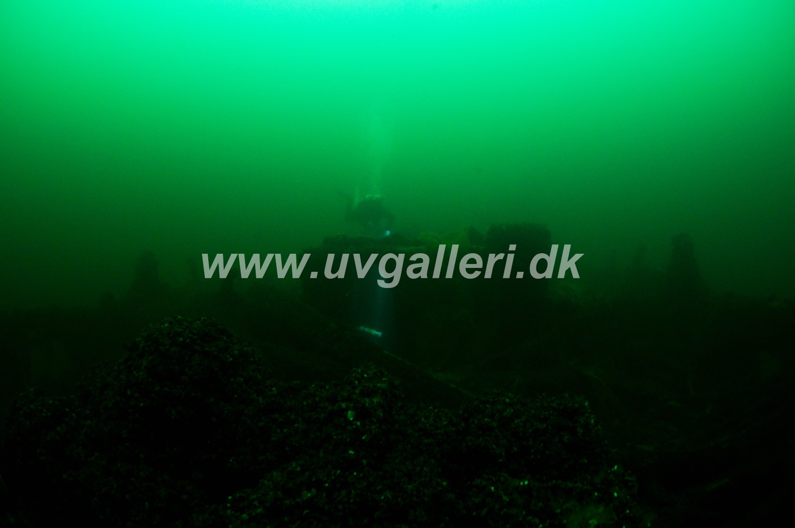 Minos (Hellfrid Bissmark)